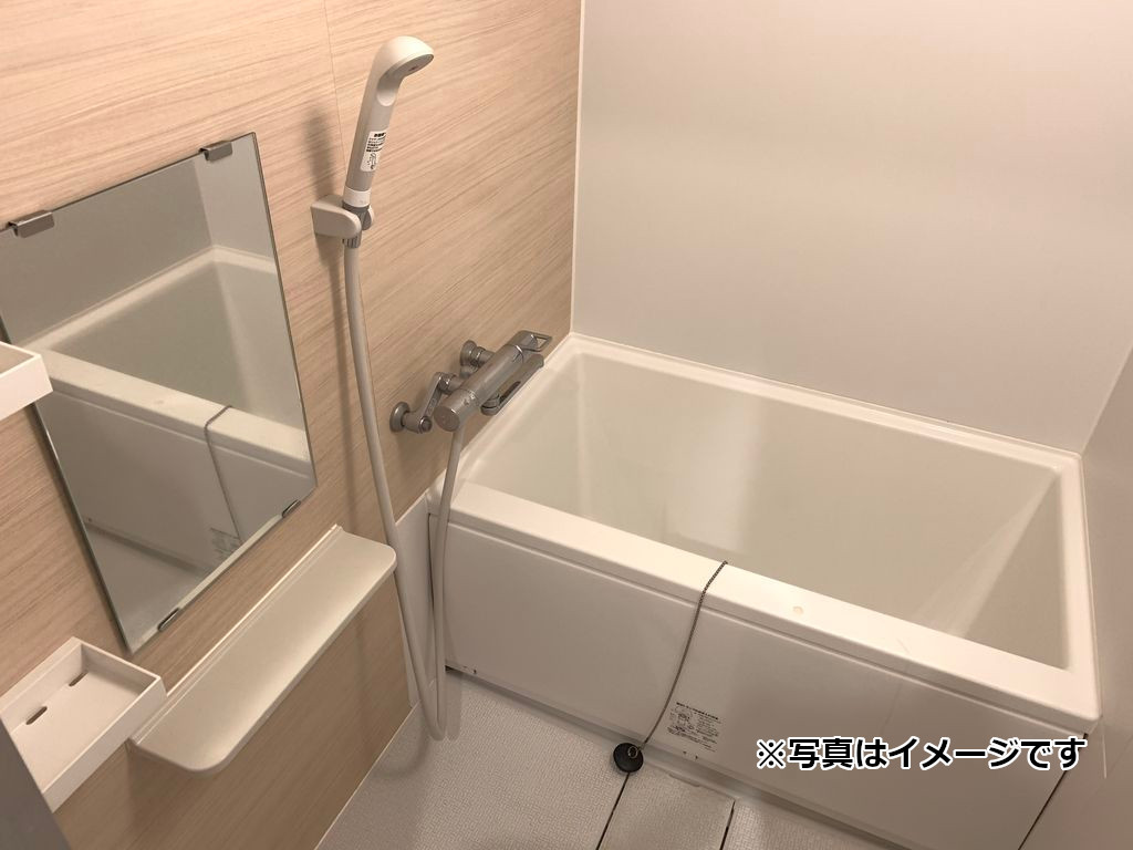 ディアレイシャス南砂町 301（6枚目）