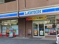 プリマヴェーラ　ドゥエ 203（19枚目）