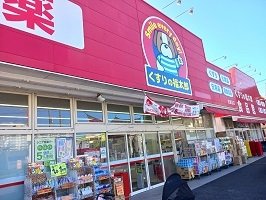 プリマヴェーラ　ドゥエ 203（20枚目）
