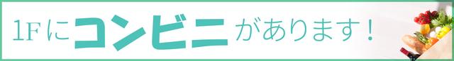 オアーゼ品川レジデンス 534（7枚目）