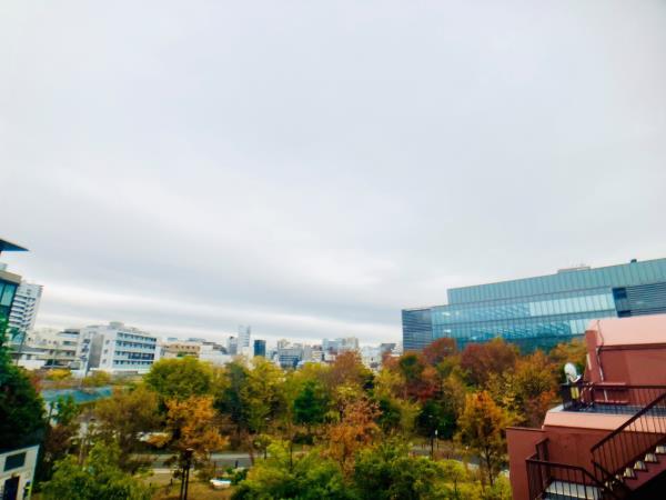 グランマルジュ市ヶ谷 304（17枚目）