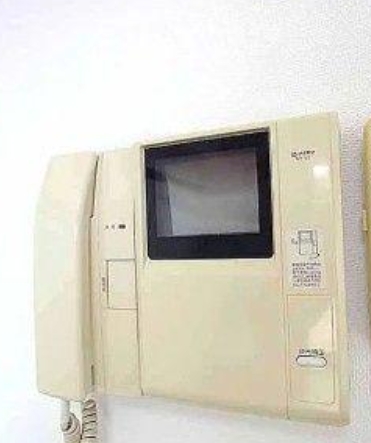 ステラトウショウ 102（5枚目）