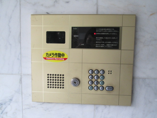 ステラトウショウ 102（3枚目）