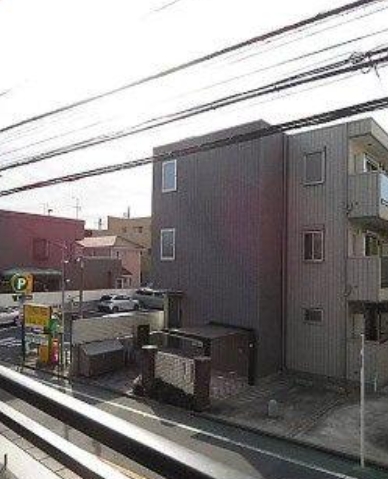 ステラトウショウ 102（7枚目）