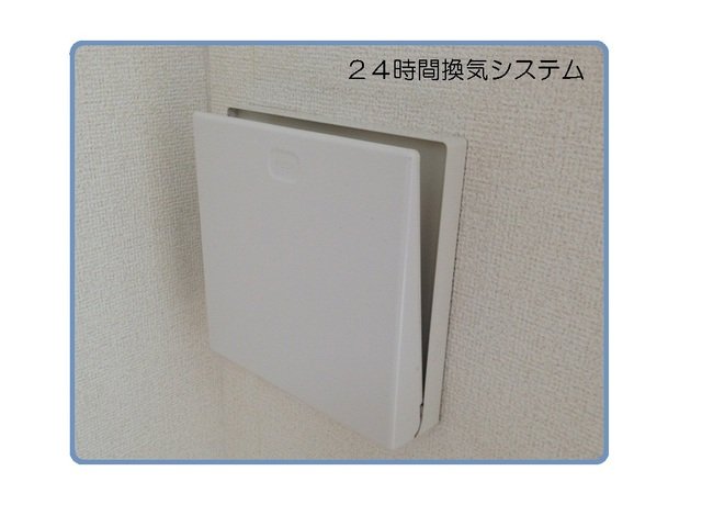 ベラシティ 102（14枚目）