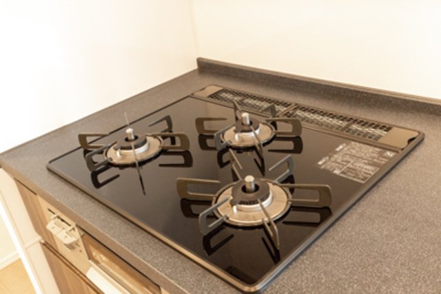 グリーンレジデンス赤坂 211（13枚目）